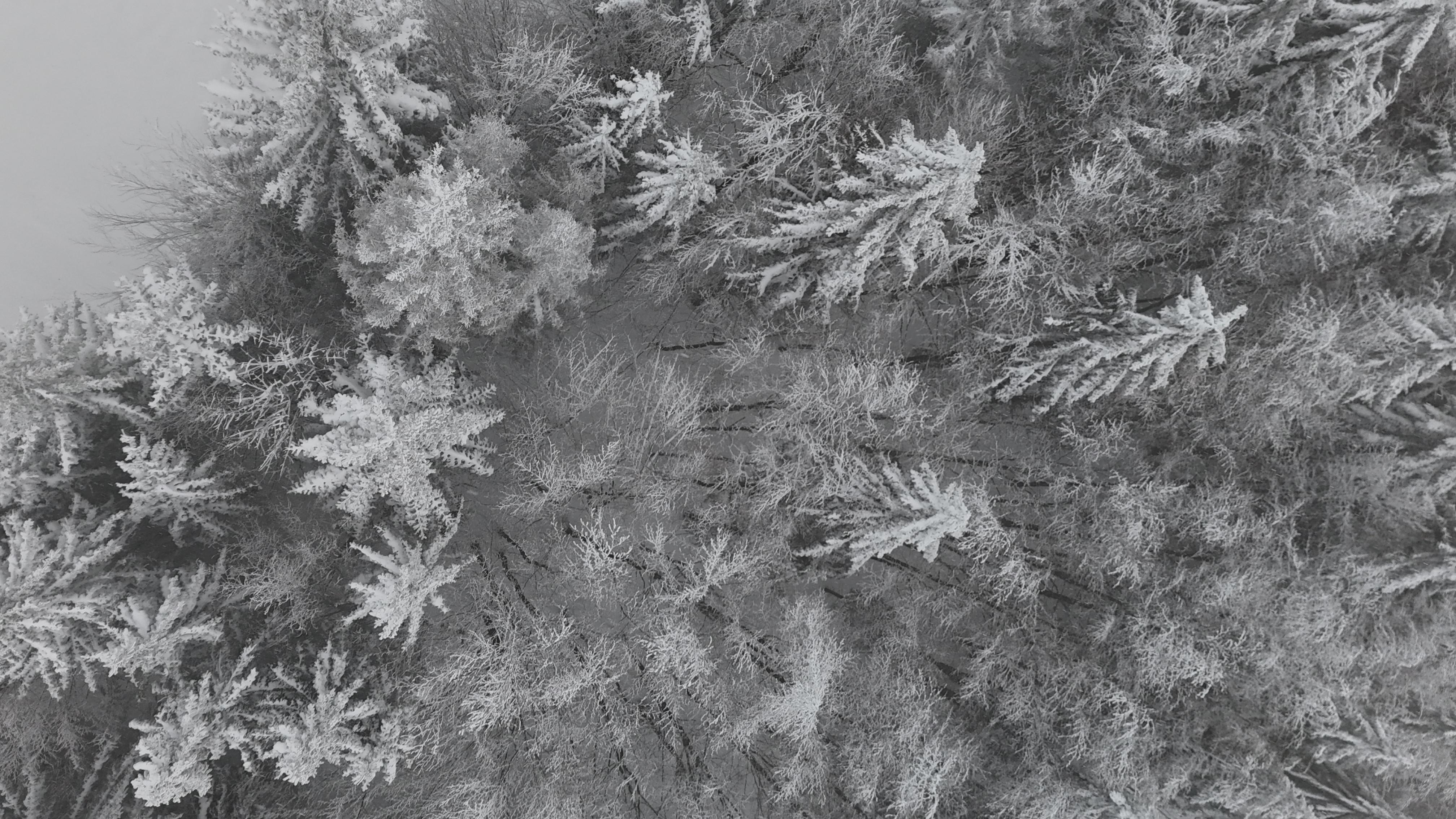 Chata pod Hrbom - 10