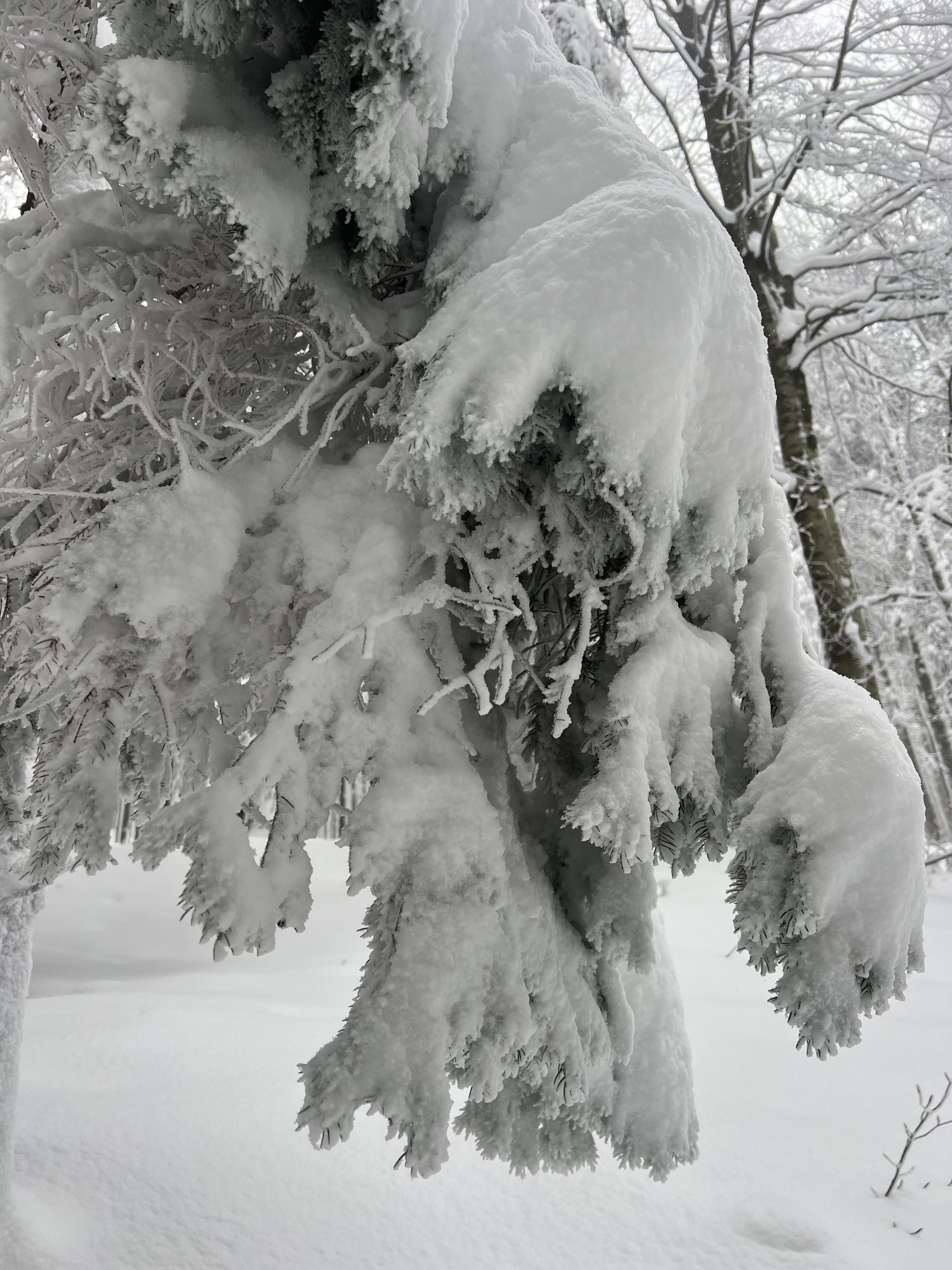 Chata pod Hrbom - 16