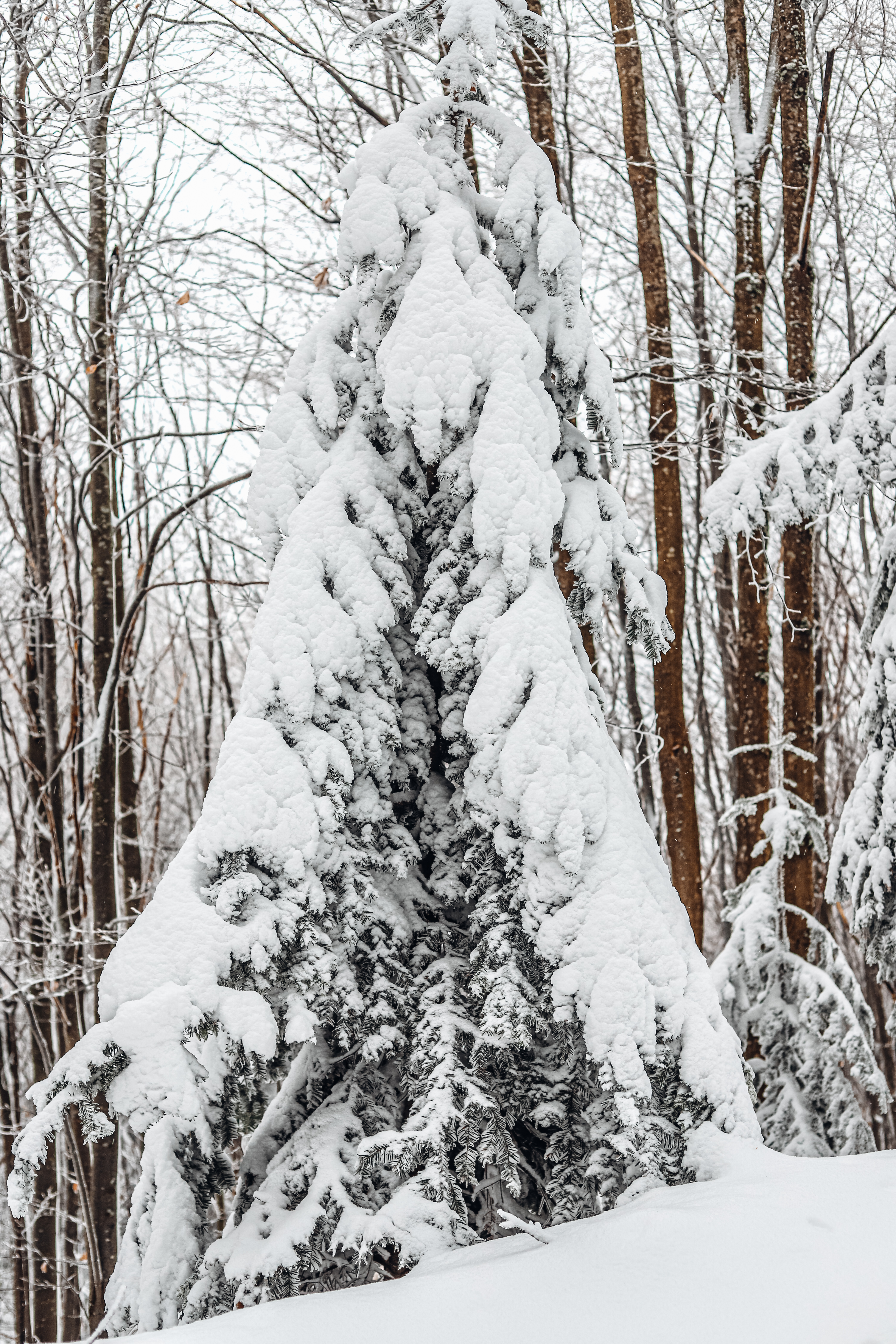 Chata pod Hrbom - 25